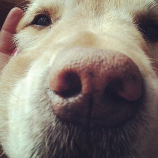 87f9445c5a5911e2a03b22000a1f92d6_7