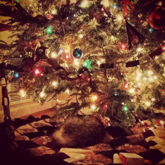 10859939_611981168928282_442229066_n