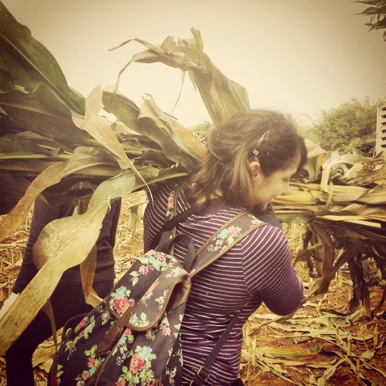 10903477_318323891690551_247918822_n