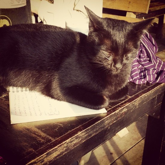 10945000_708212092611429_1473644252_n