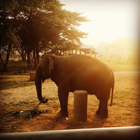 914804_903837892990156_900110890_n