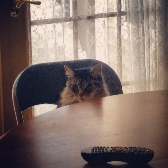 10914354_1577297729179660_675803596_n