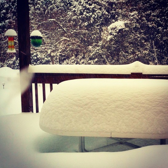 924150_853265918058490_21488053_n