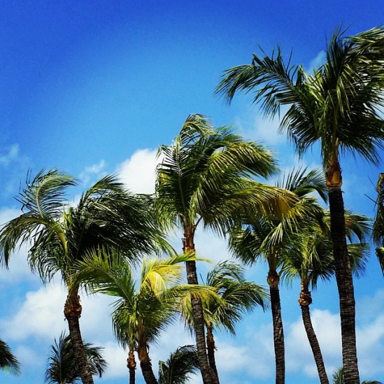 Sitting on a beach chair by the huge Hyatt pool