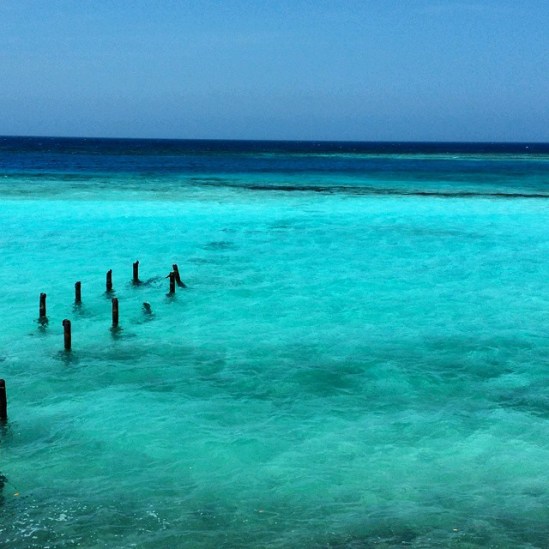 Snorkeling at Savaneta Road where we parked on the side road and Kelly and Frank did hour and a half of snorkeling....