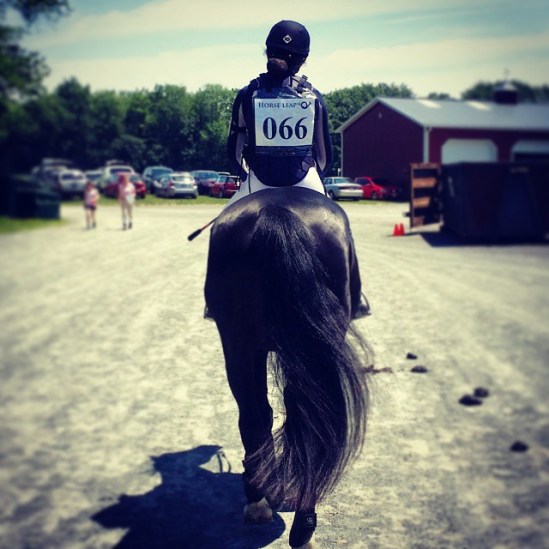 11377348_10206645877776163_4884291175104716537_n