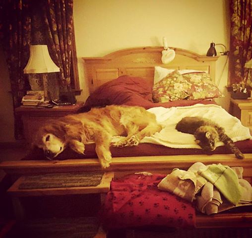 17201181_10211916687783119_2943349165763579215_n